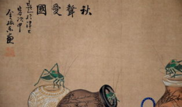 牲交视频,动物间的亲密互动与自然法则