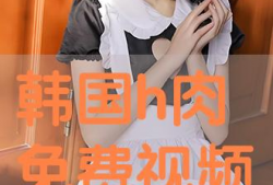 在线观看h视频,h视频观看背后的故事与启示